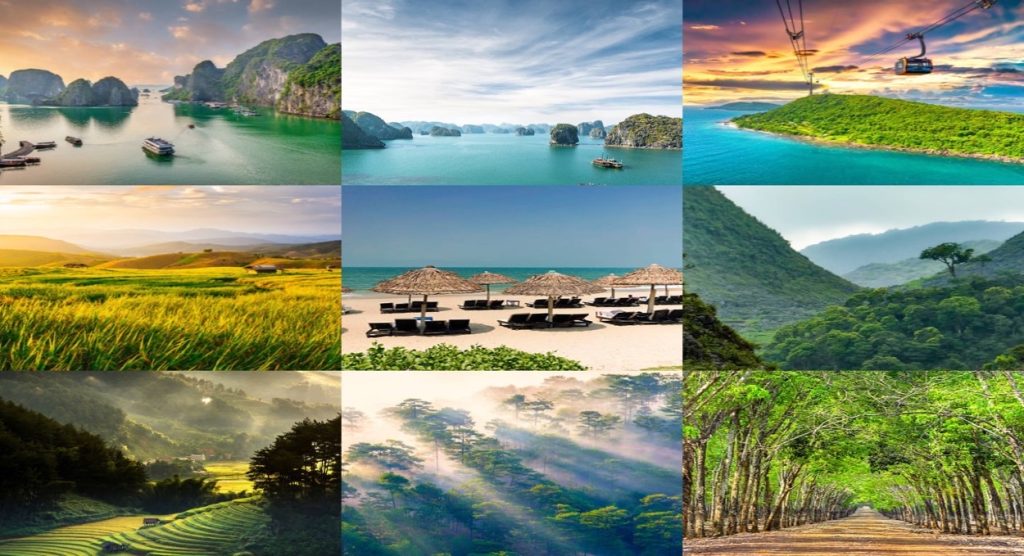 How to Register a Partnership Company in Vietnam